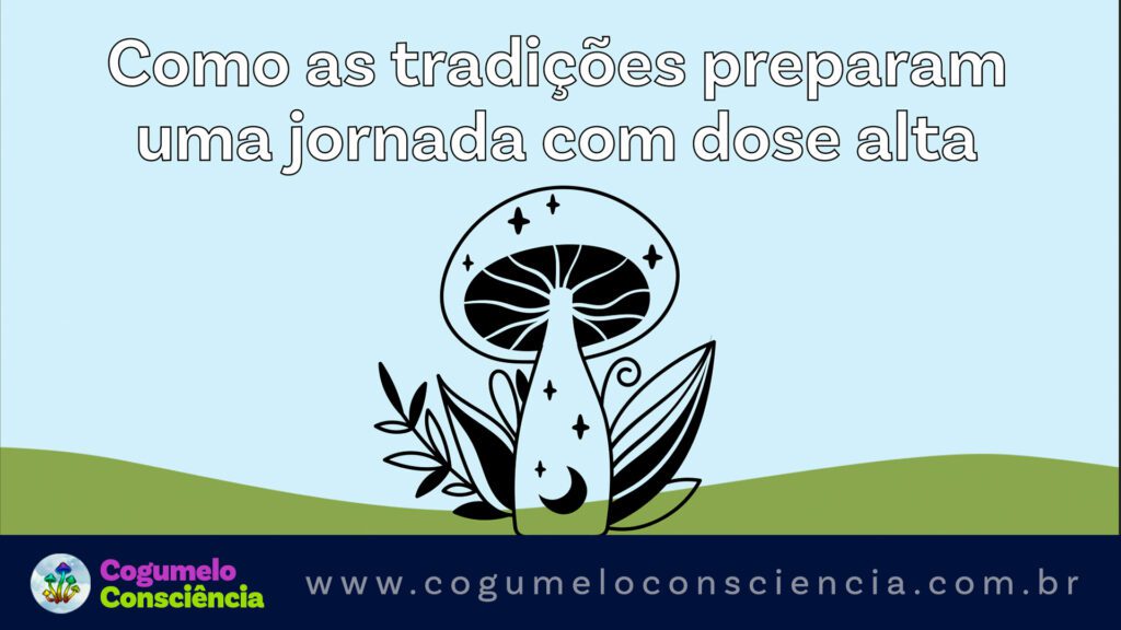 preparos para uma jornada com cogumelos