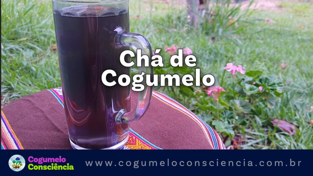chá de cogumelo, receitas