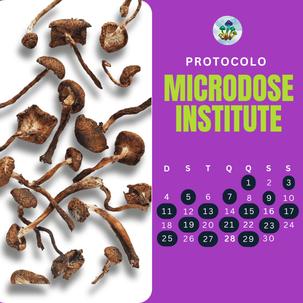 protocolo de microdosagem do microdose institute