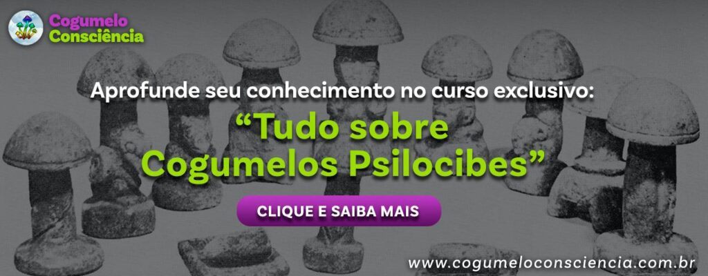 aprofunde seu conhecimento no curso exclusivo: tudo sobre cogumelos psilocibes. clique e saiba mais