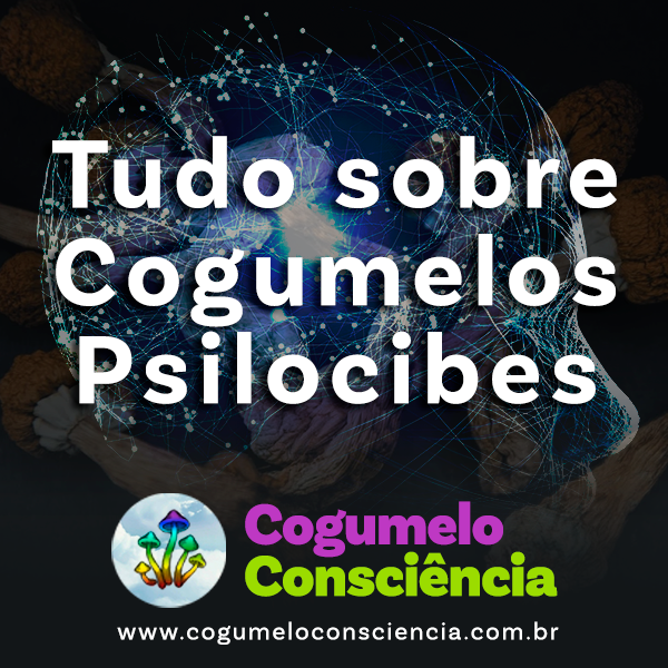 curso completíssimo, tudo sobre cogumelos psilocibes