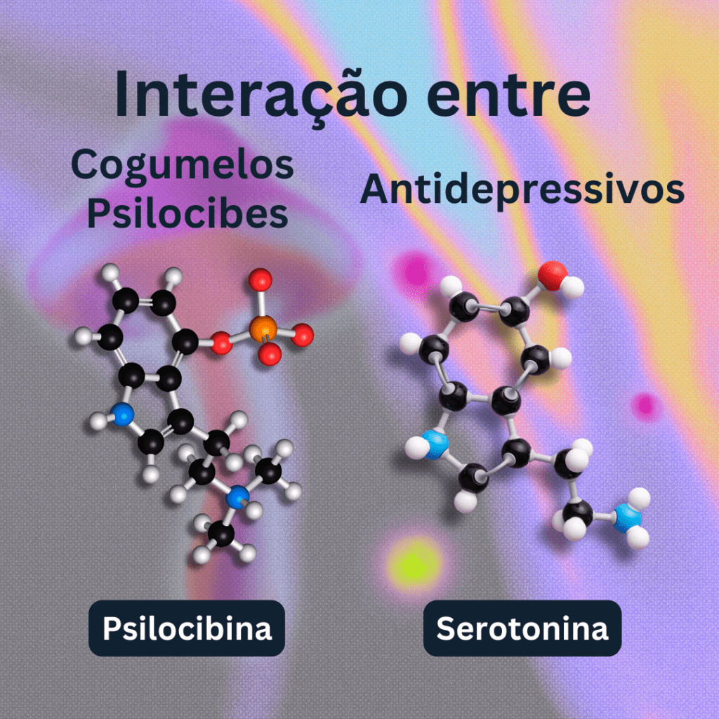 interação entre cogumelos psilocibes e antidepressivos