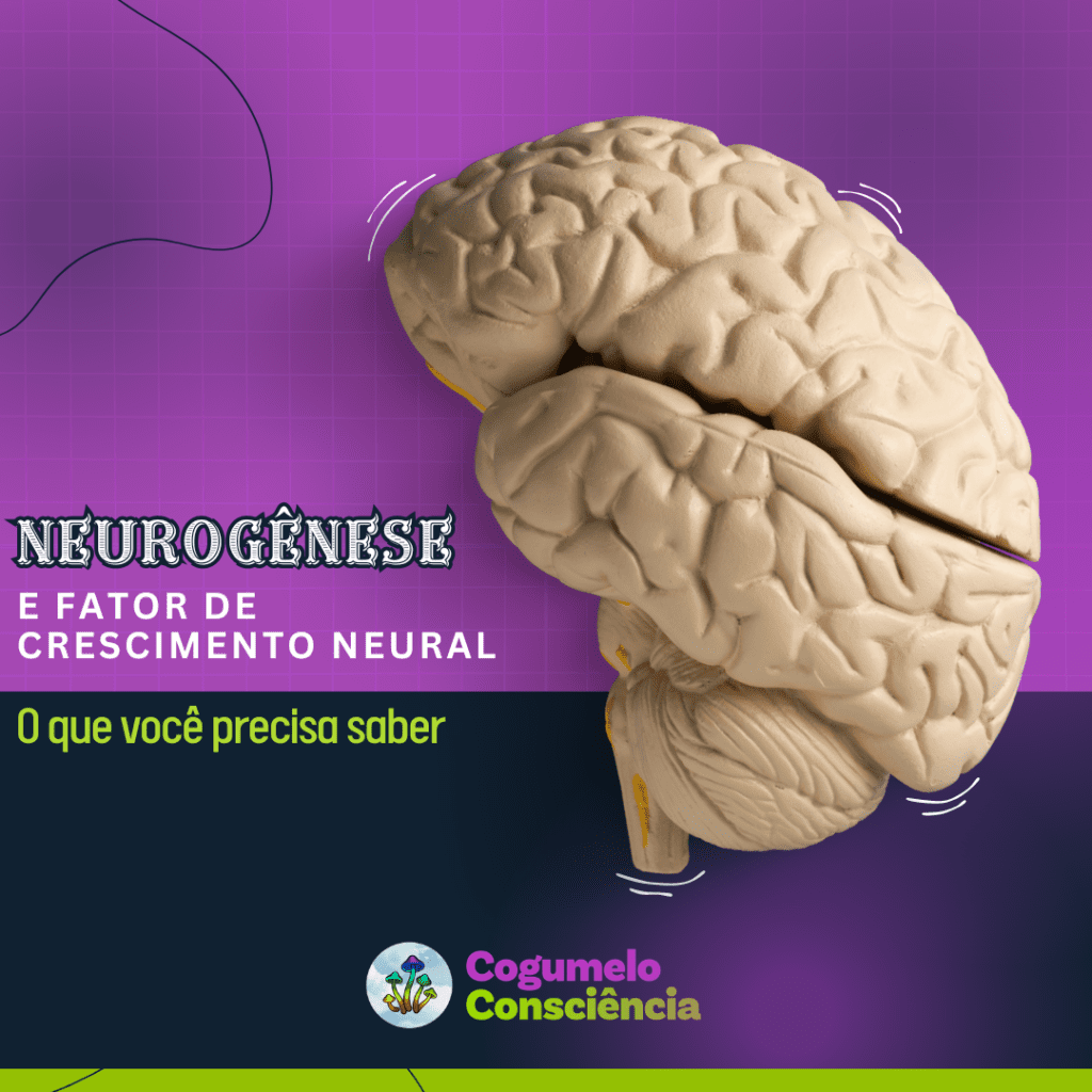 neurogênese e fator de crescimento neural. o que você precisa saber