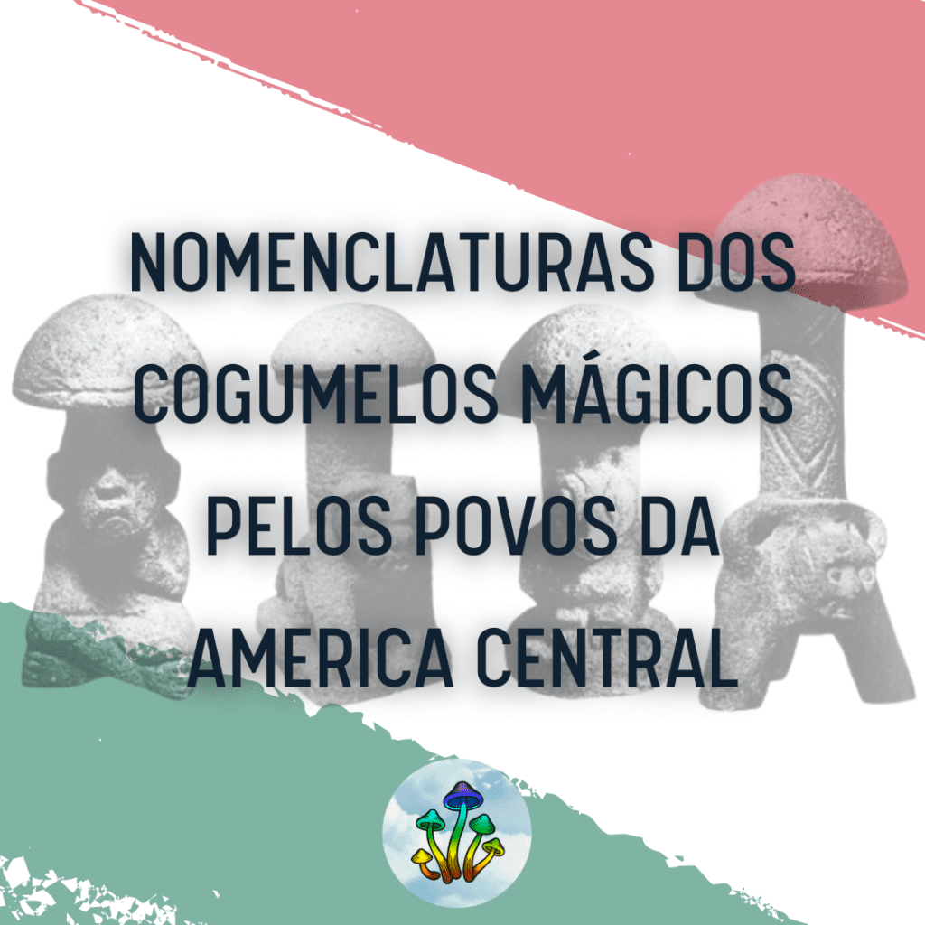 nomenclaturas dos cogumelos mágicos pelos povos da america central