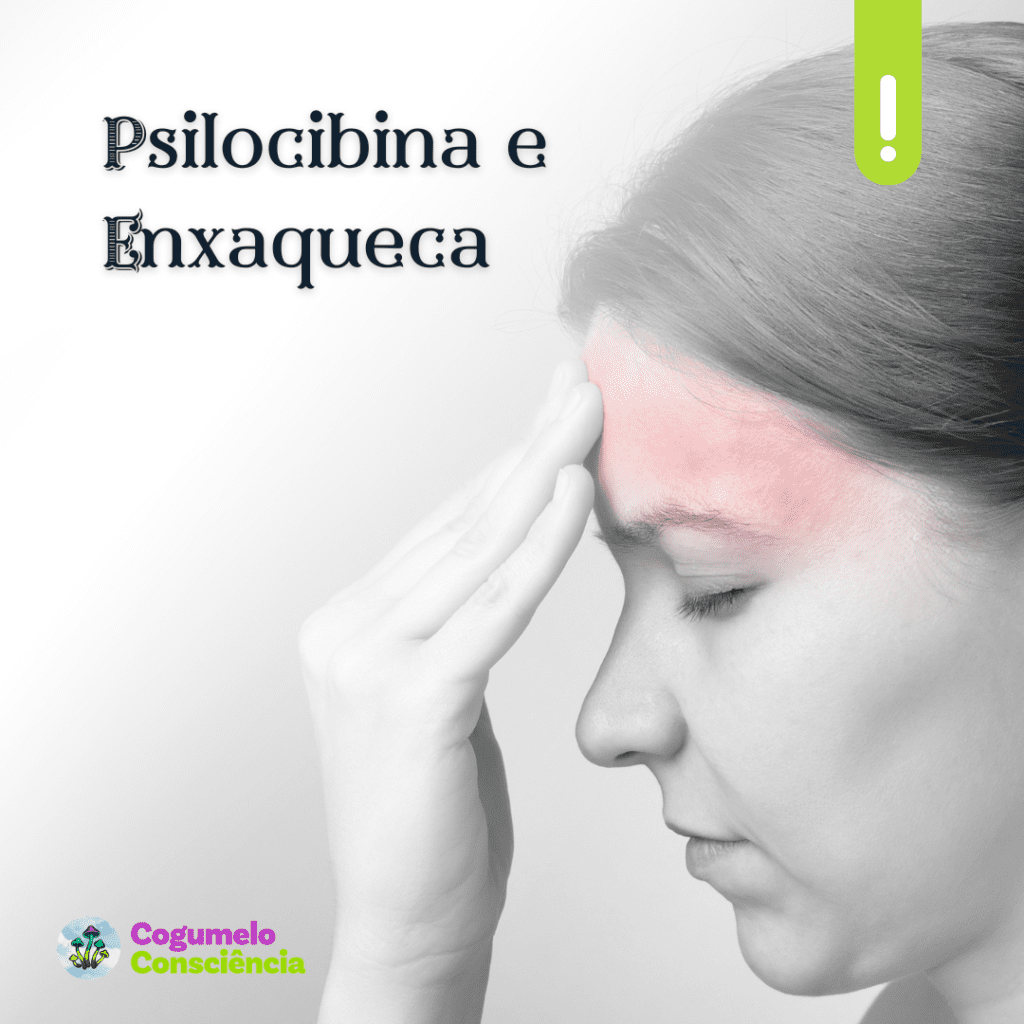psilocibina e enxaqueca