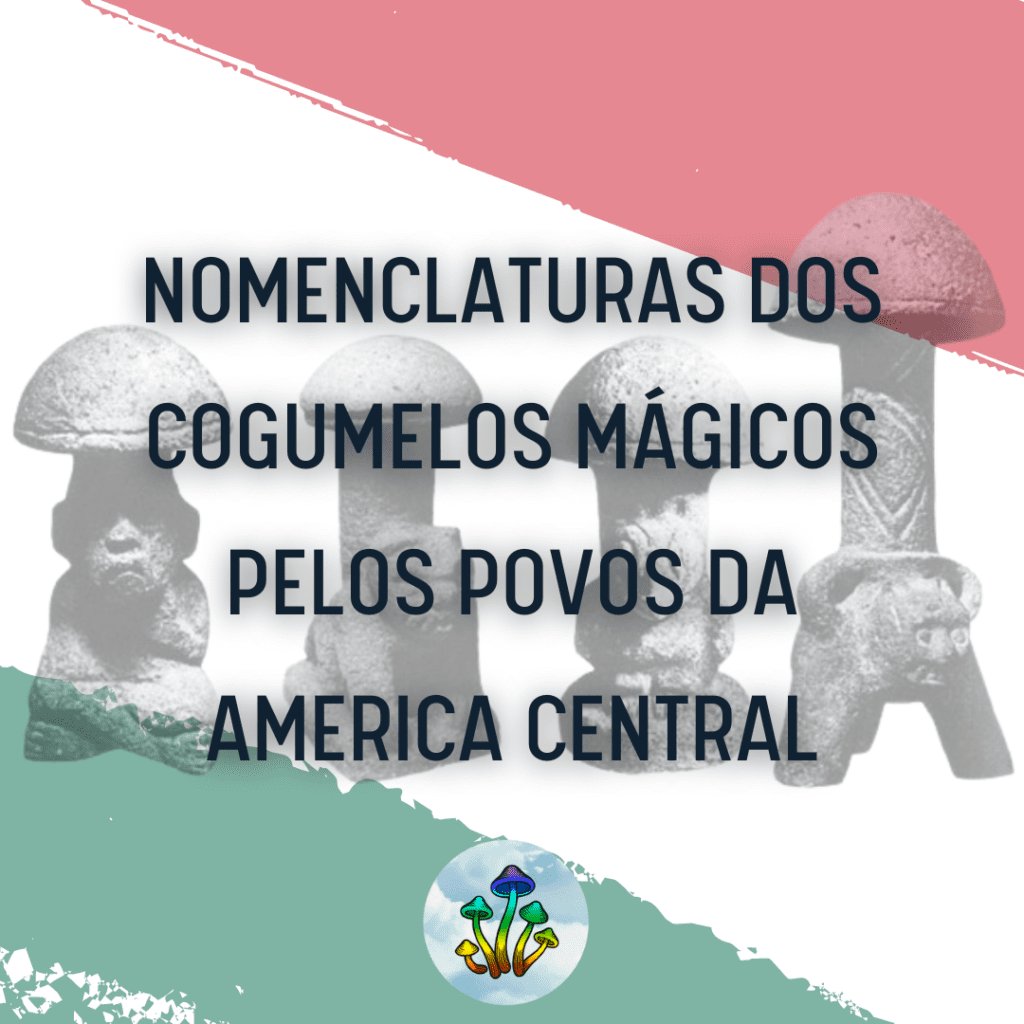 nomenclaturas dos cogumelos mágicos pelos povos da america central