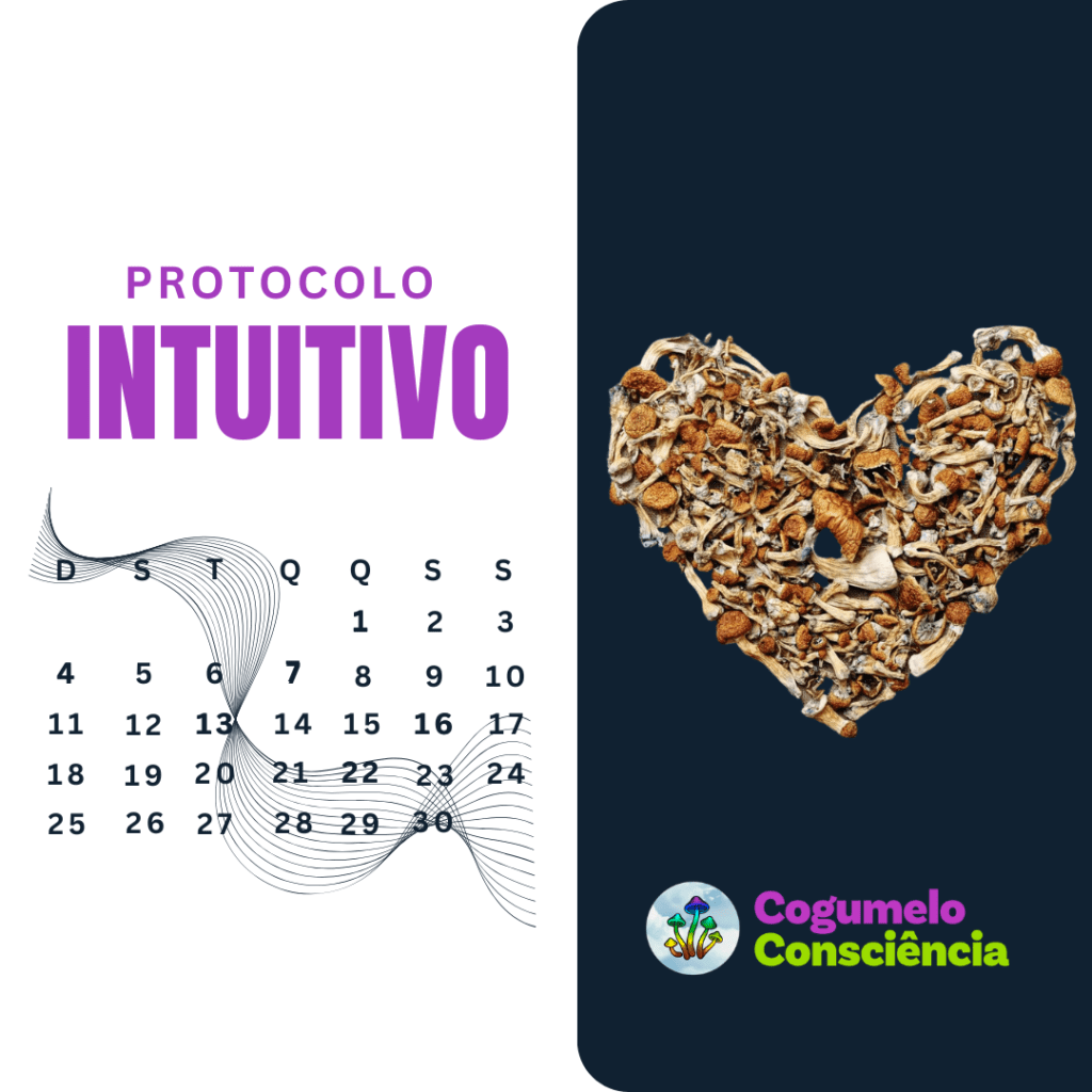 protocolo intuituvo de microdosagem de cogumelo