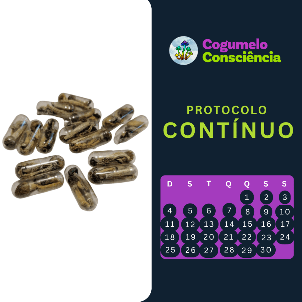 protocolo contínuo de microdosagem de cogumelos mágicos