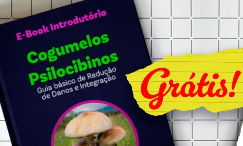 ebook introdutório cogumelos psilocibes gratis. guia basico de redução de danos e integração